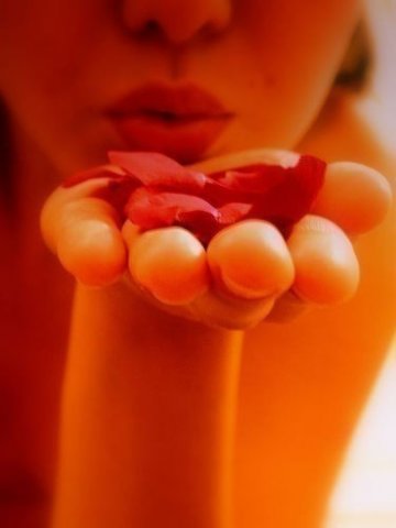 002D051wes7.jpg, 21 KB