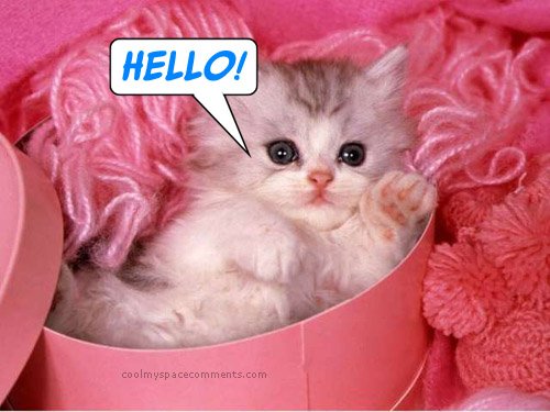 003b051ERf9.jpg, 61 KB