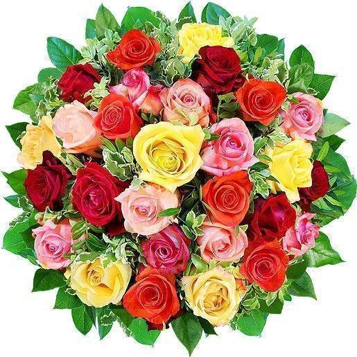 00am053xBU7.jpg, 74 KB