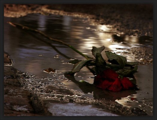 11gmzuuns0.jpg, 40 KB