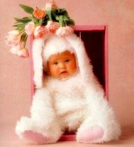 26264-bunnycg9.jpg, 11 KB