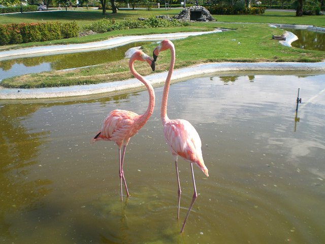 ljubav-ah-ljubav.jpg, 114 KB